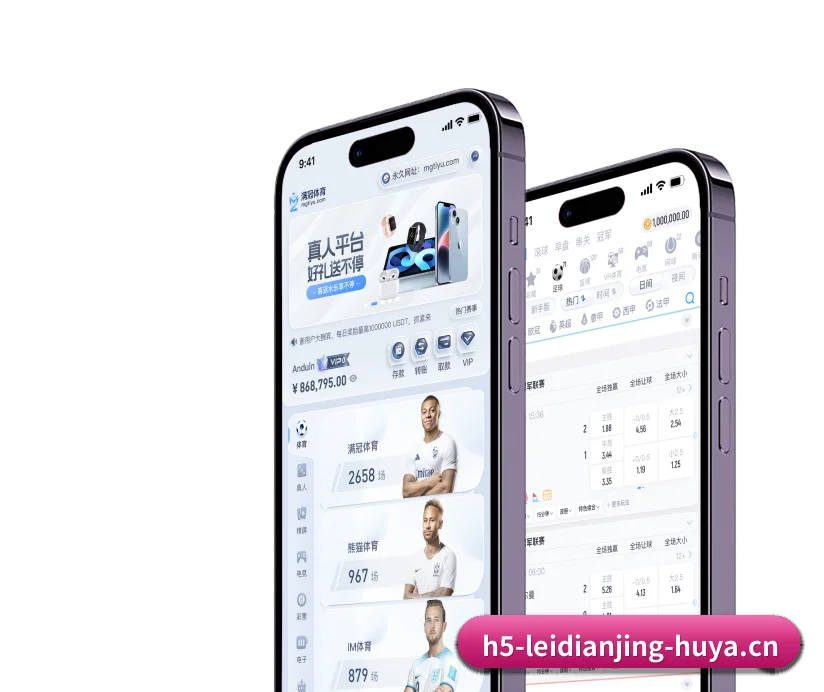 国际化进程 - 注册用户突破千万级,业务版图扩展至全球多个华人聚集地区。